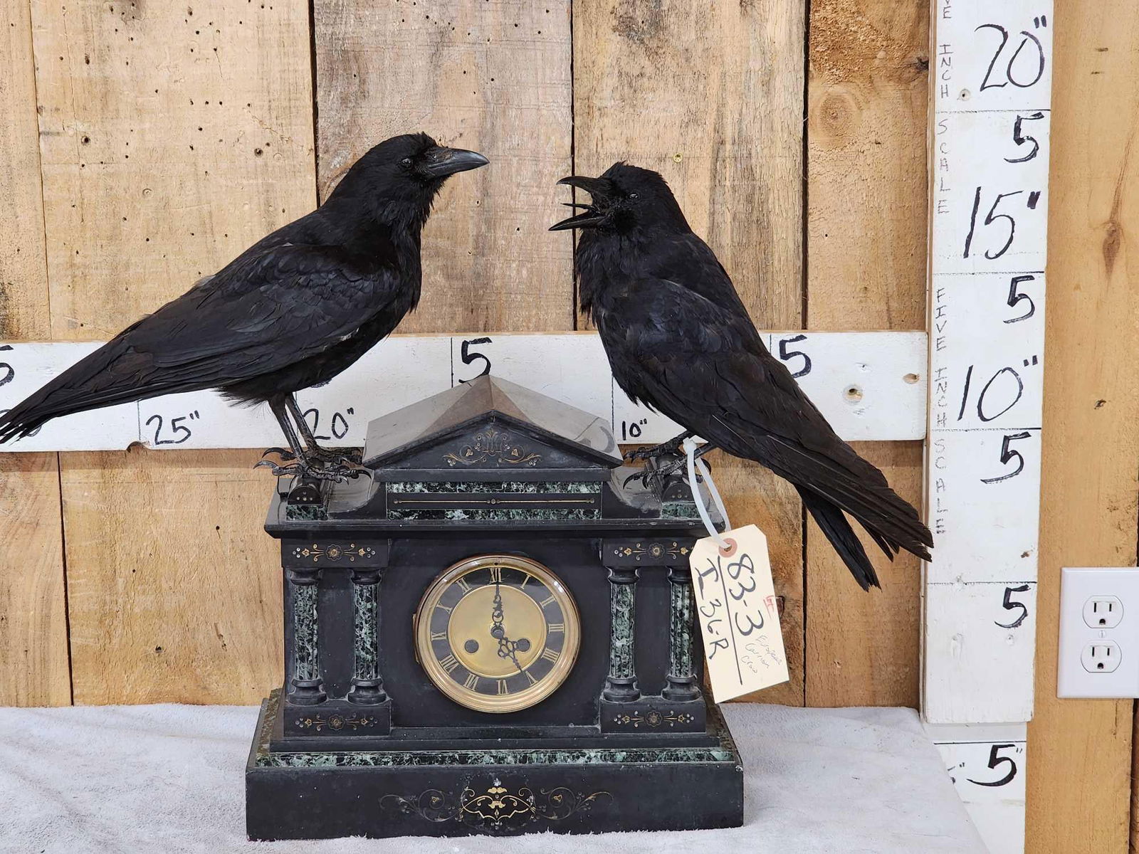 Pair Of European Carrion Crows On Antique Clock Bird Taxidermy: 83.8 Brand new Taxidermy Mount on antique Mantle clock this piece gives off a huge Edgar Allen Poe vibe !The clock is fairly heavy made of some sort of slate or granite the old workings have been repl