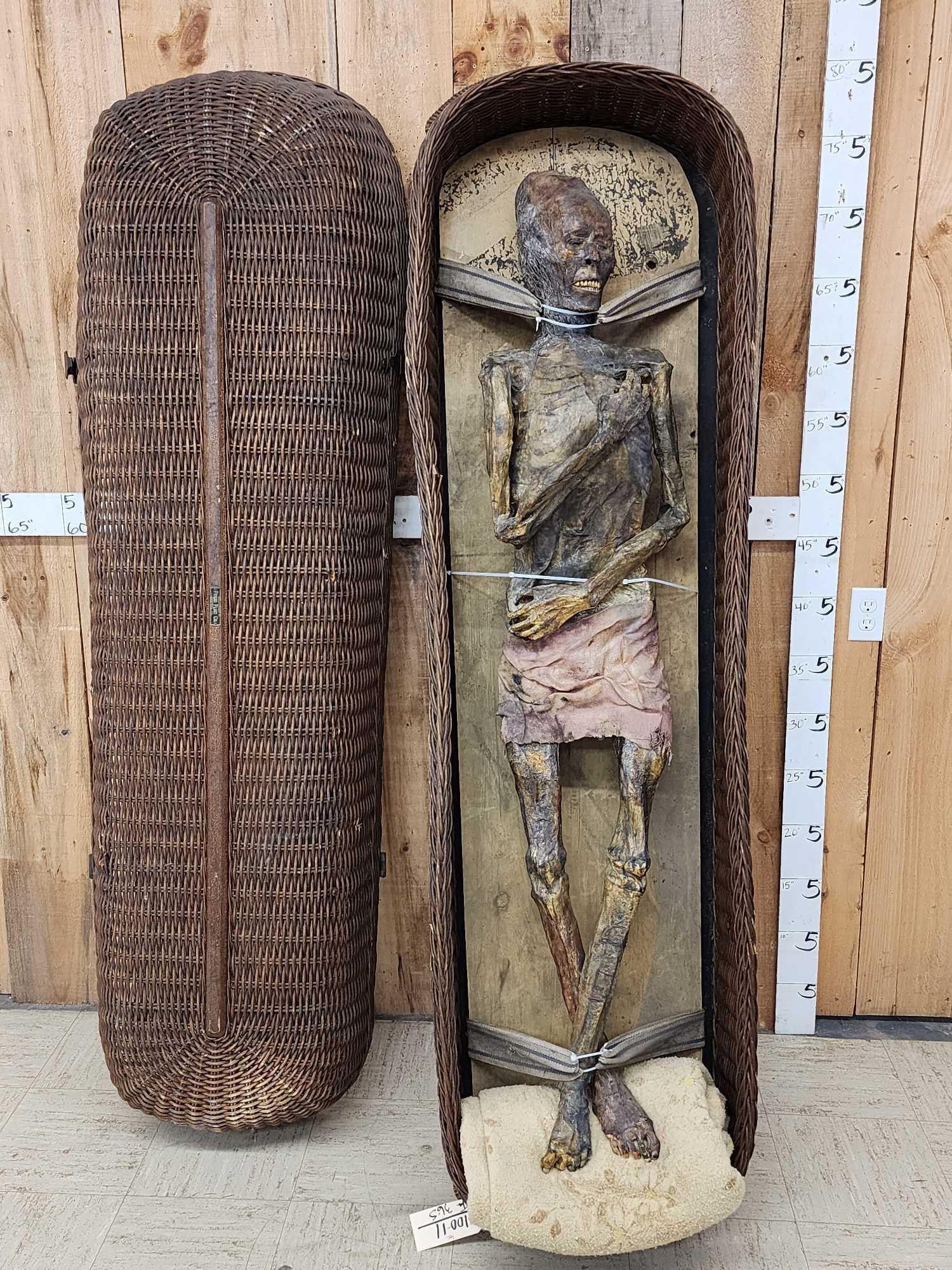 Full Size Artists Rendition Of The Mummy Of King Atahualapa: 100.11 Museum quality reproduction in 1800s Wicker viewing Casket see pictures for description 