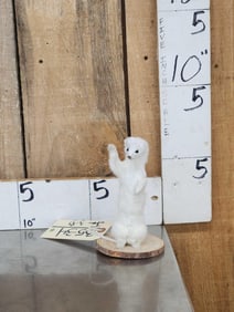 Meet Howdy The White Weasel Taxidermy Mount