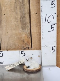 Weasel Full Body Taxidermy Mount