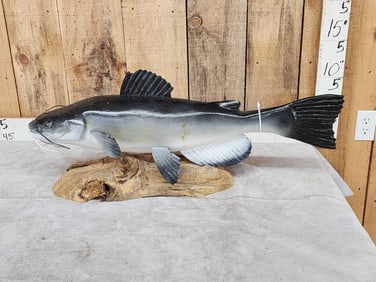 Hand Carved Wooden Catfish