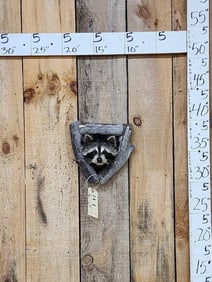 Raccoon In A Den Taxidermy