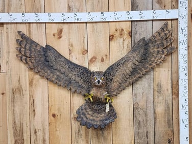 Hand Carved Great Horned Owl In Flight Wood Carving