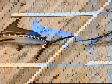 8' 7" Marlin Reproduction Fish Taxidermy