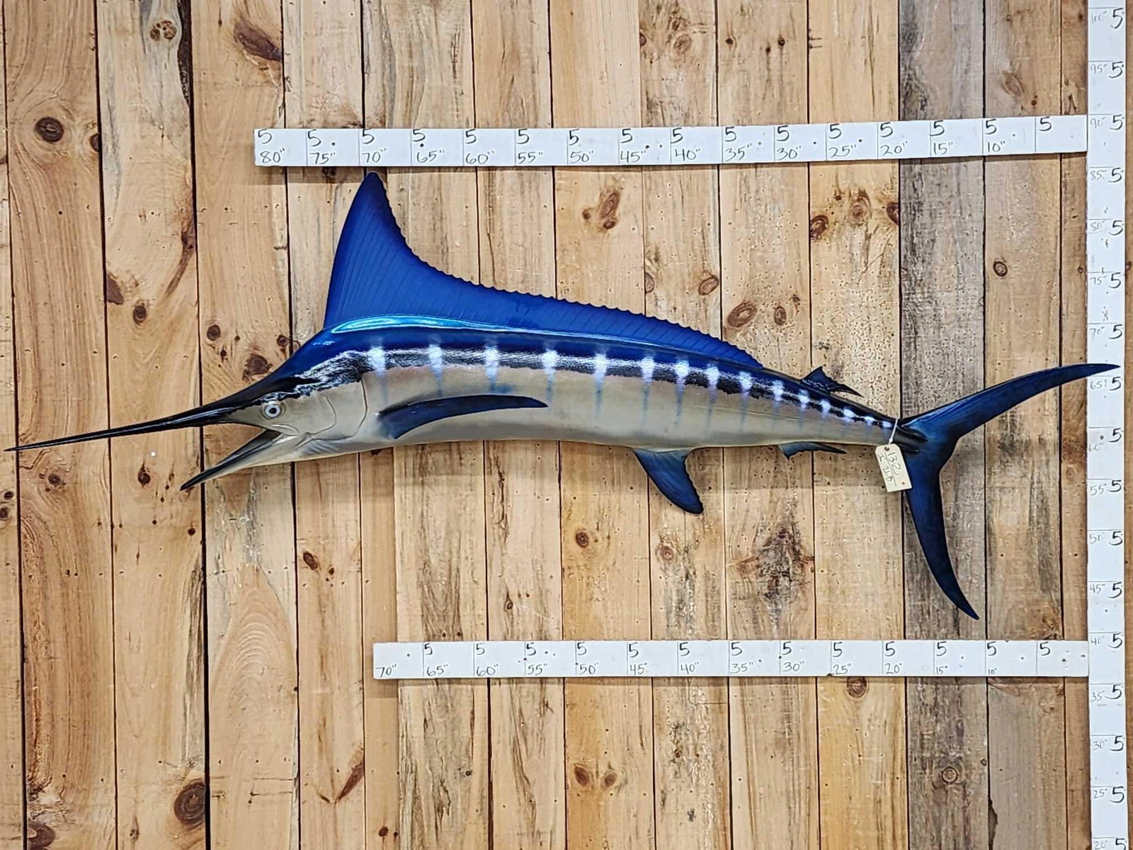8' 7" Marlin Reproduction Fish Taxidermy (1 of 5)