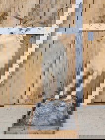 Feral Goat Full Body Taxidermy Mount