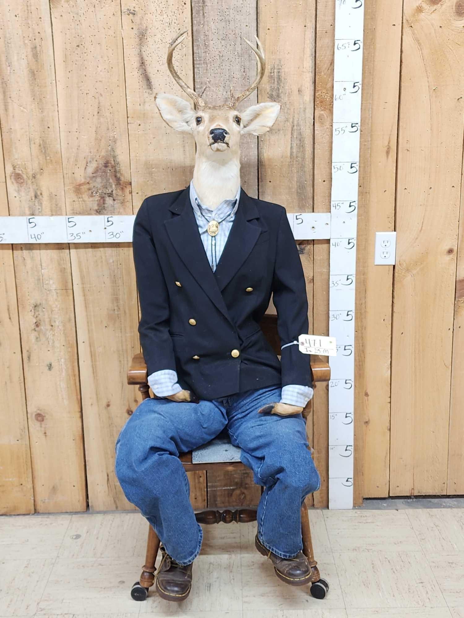 Meet Uncle Buck Half Deer Half Man Full Body Taxidermy Mount: 47.1 Great Novelty piece on roll around chair