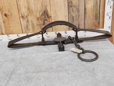 S. Newhouse #6 Kenwood California sesquicentennial Commemorate Bear Trap