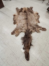 Soft Tanned Elk Skin Taxidermy
