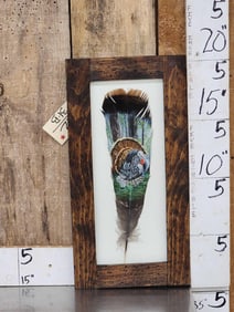 Hand Painted Turkey Feather In Frame