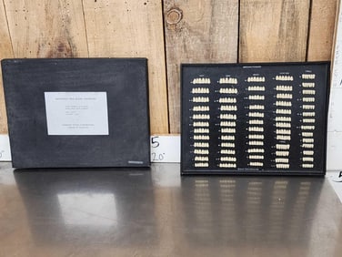 Vintage Myerson Tooth Corporation Dentists False Tooth Display Tray
