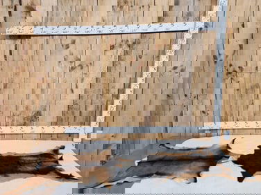 2 Soft Tanned Goat Skins