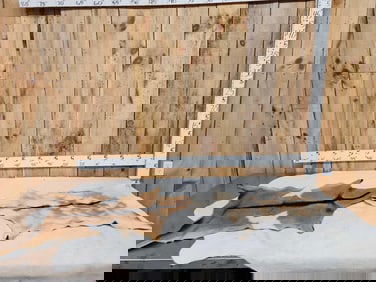 2 Soft Tanned Goat Skins Taxidermy