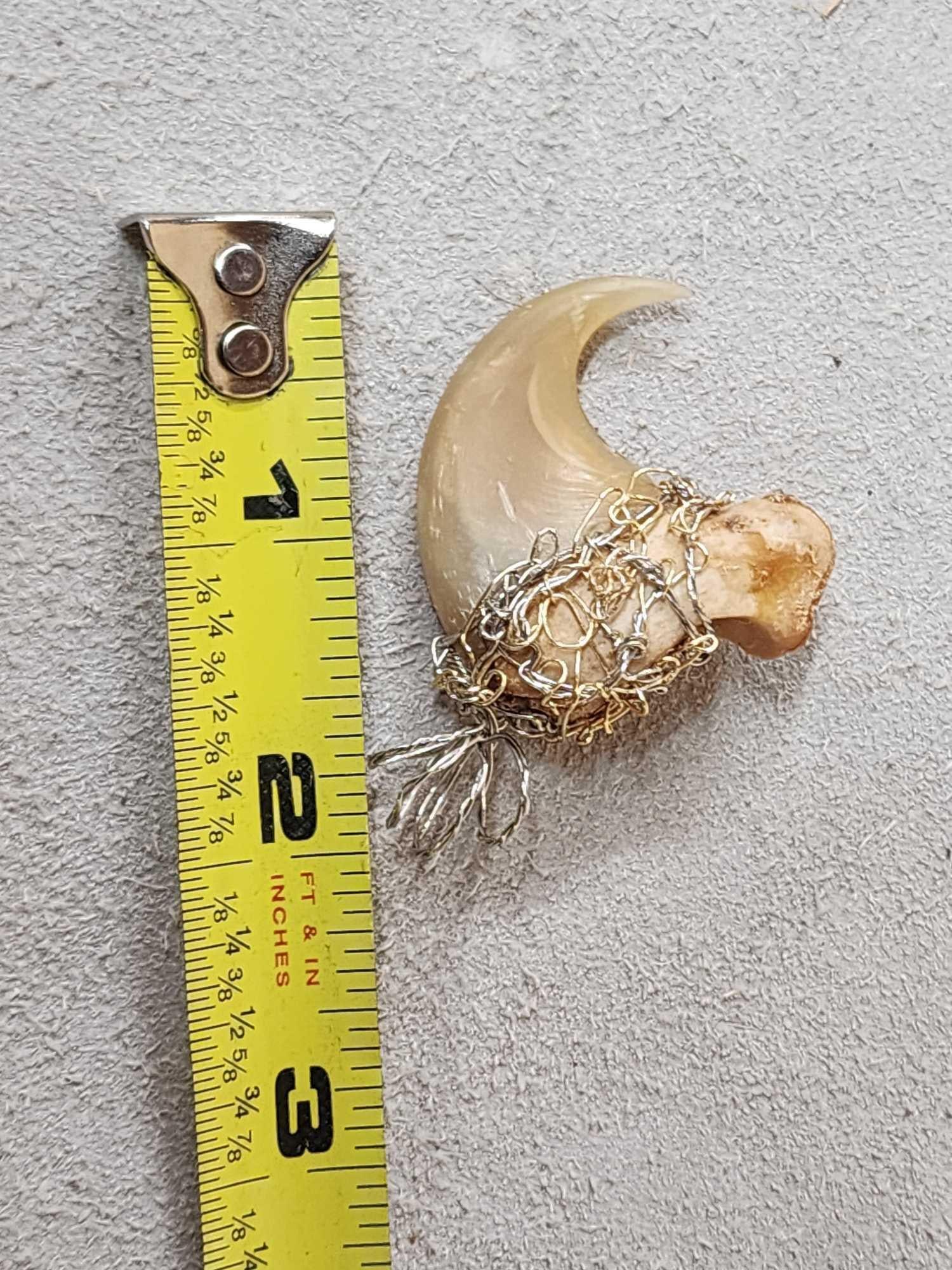 Mountain Lion Cougar Claw Wire Wrapped Necklace Pendant: 50.82 Big claw polished to a high sheen great look