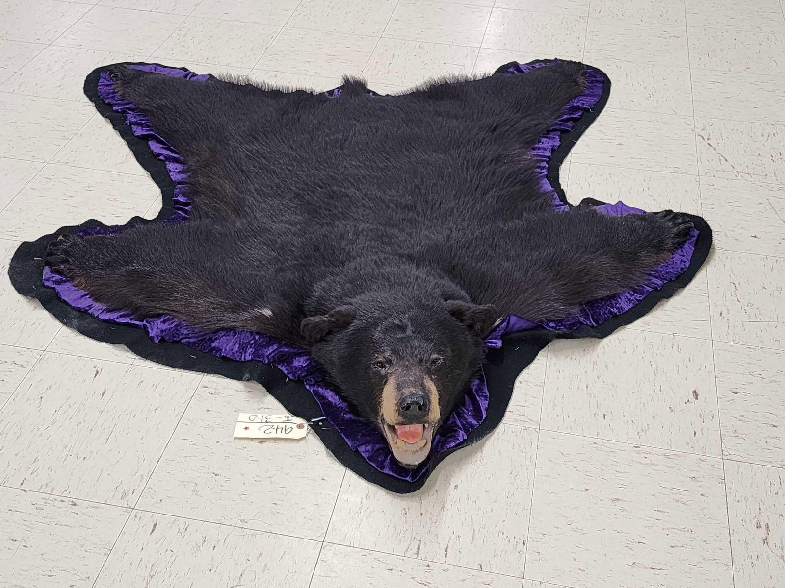 Black Bear Rug Taxidermy (1 of 7)