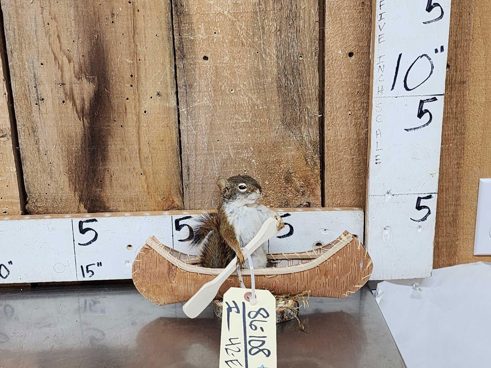 Squirrel In A Birch Bark Canoe: 86.108 Brand new mount