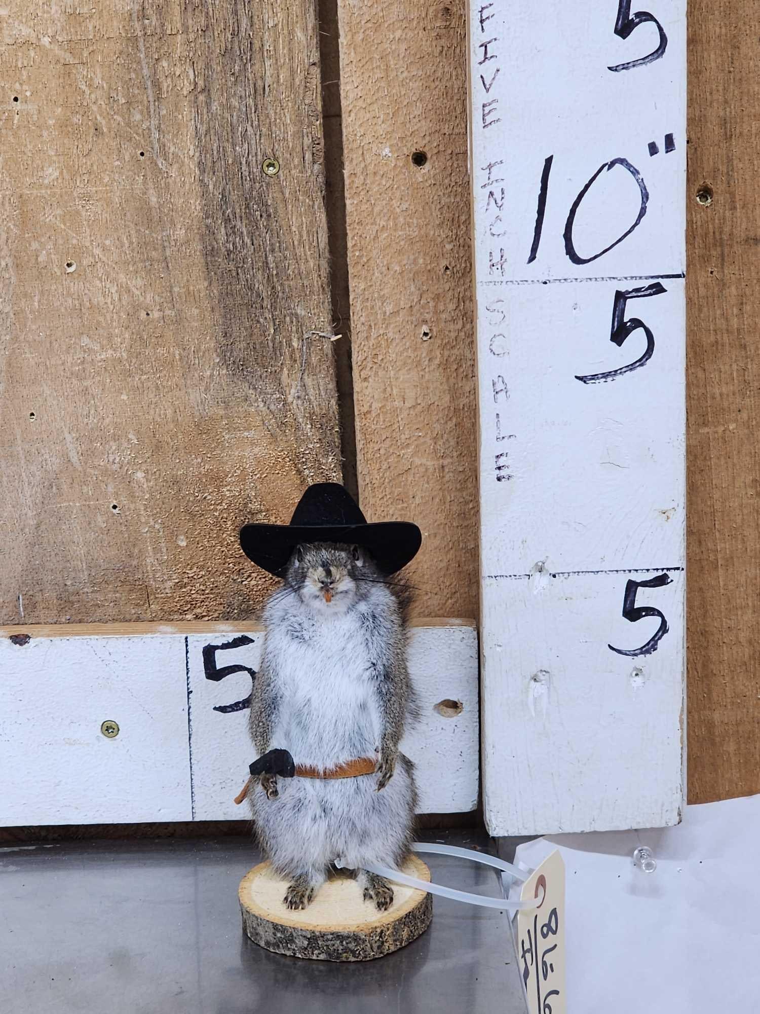 Sheriff Squirrel: 86.66 Brand new mount