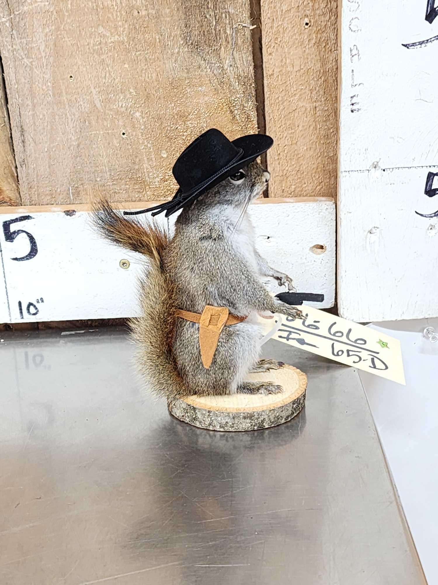 Sheriff Squirrel - 2