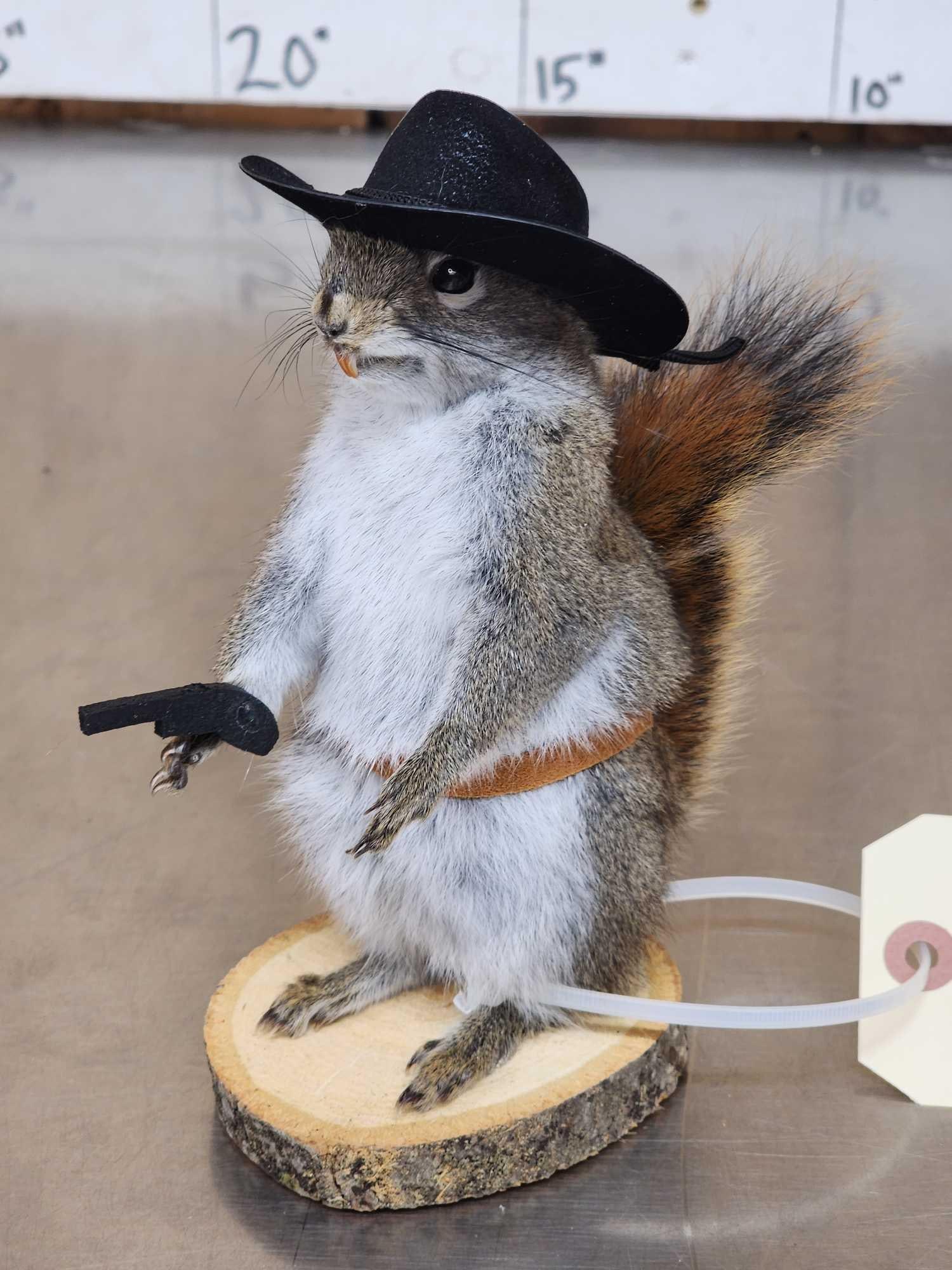 Sheriff Squirrel - 3