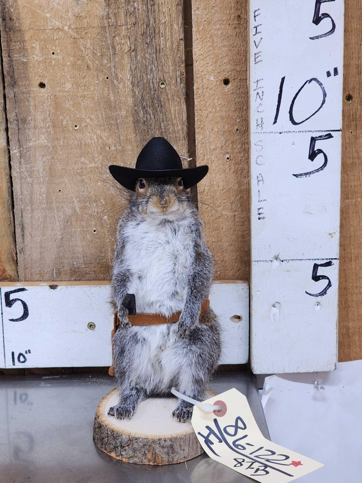 Sheriff Squirrel Taxidermy Mount (1 of 4)
