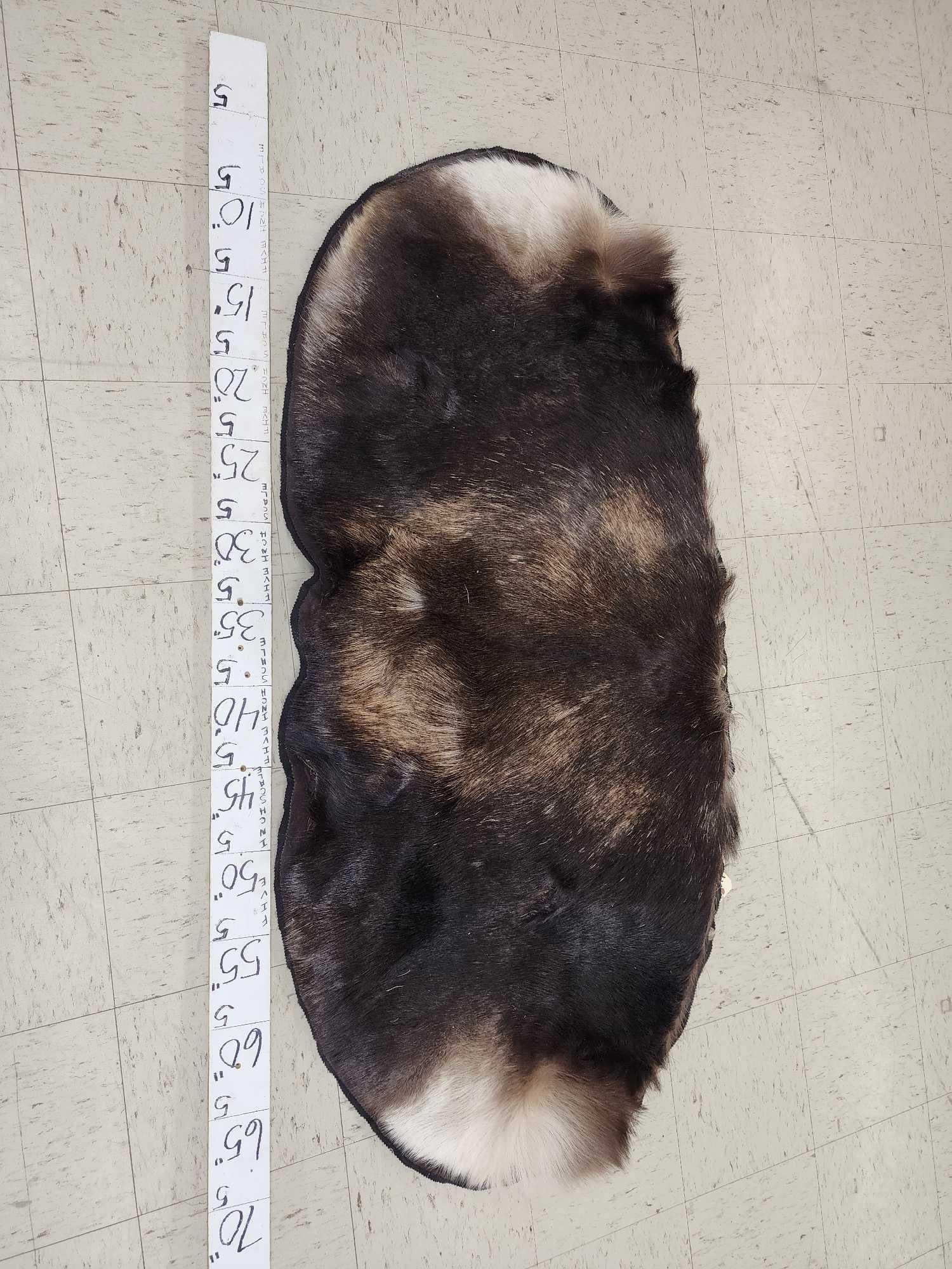 Moose Skin Rug Taxidermy (1 of 1)