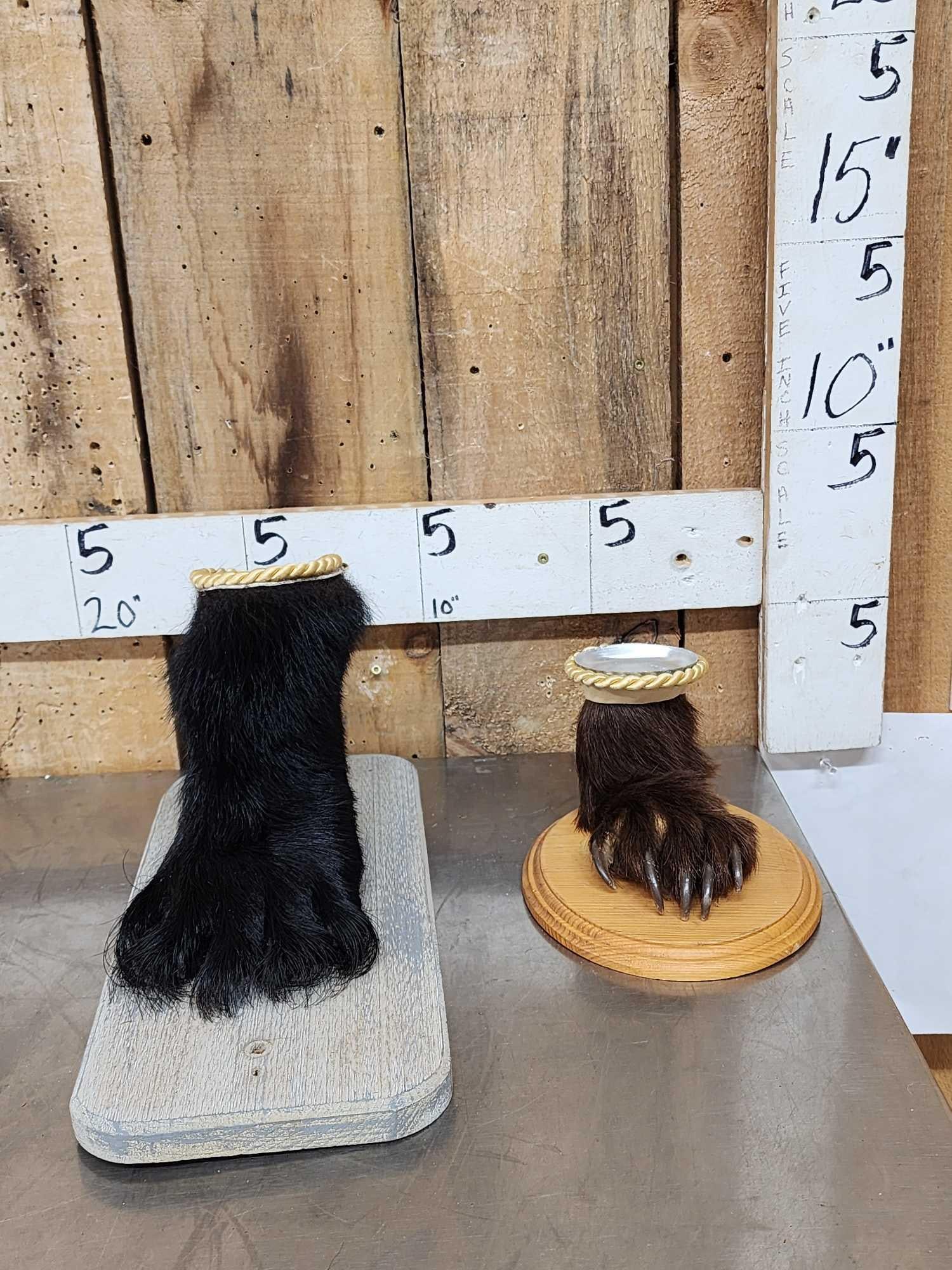 2 Black Bear Paw Change Holders Taxidermy: 25.74 One money buys the pair