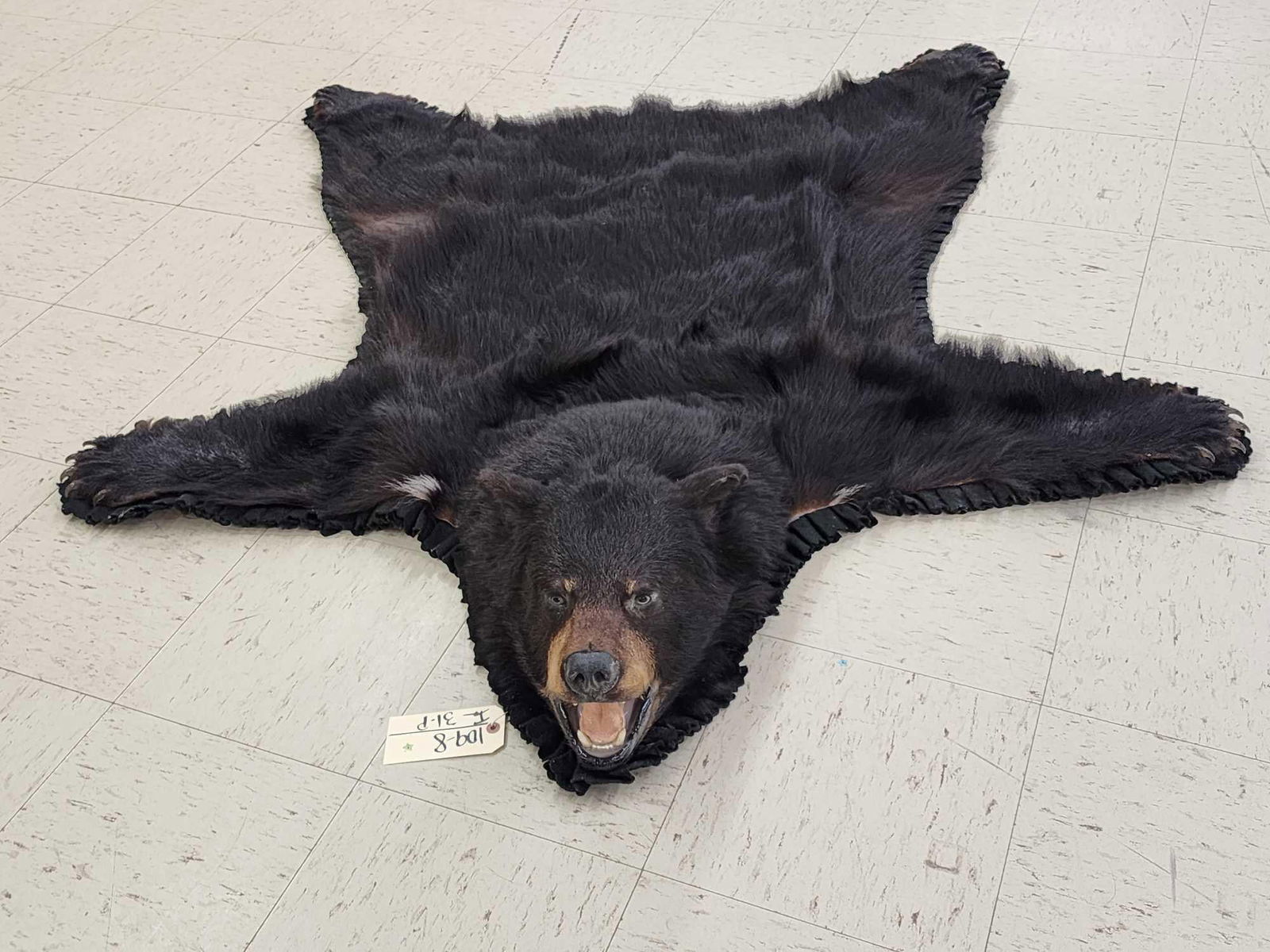 Black Bear Rug Taxidermy (1 of 8)