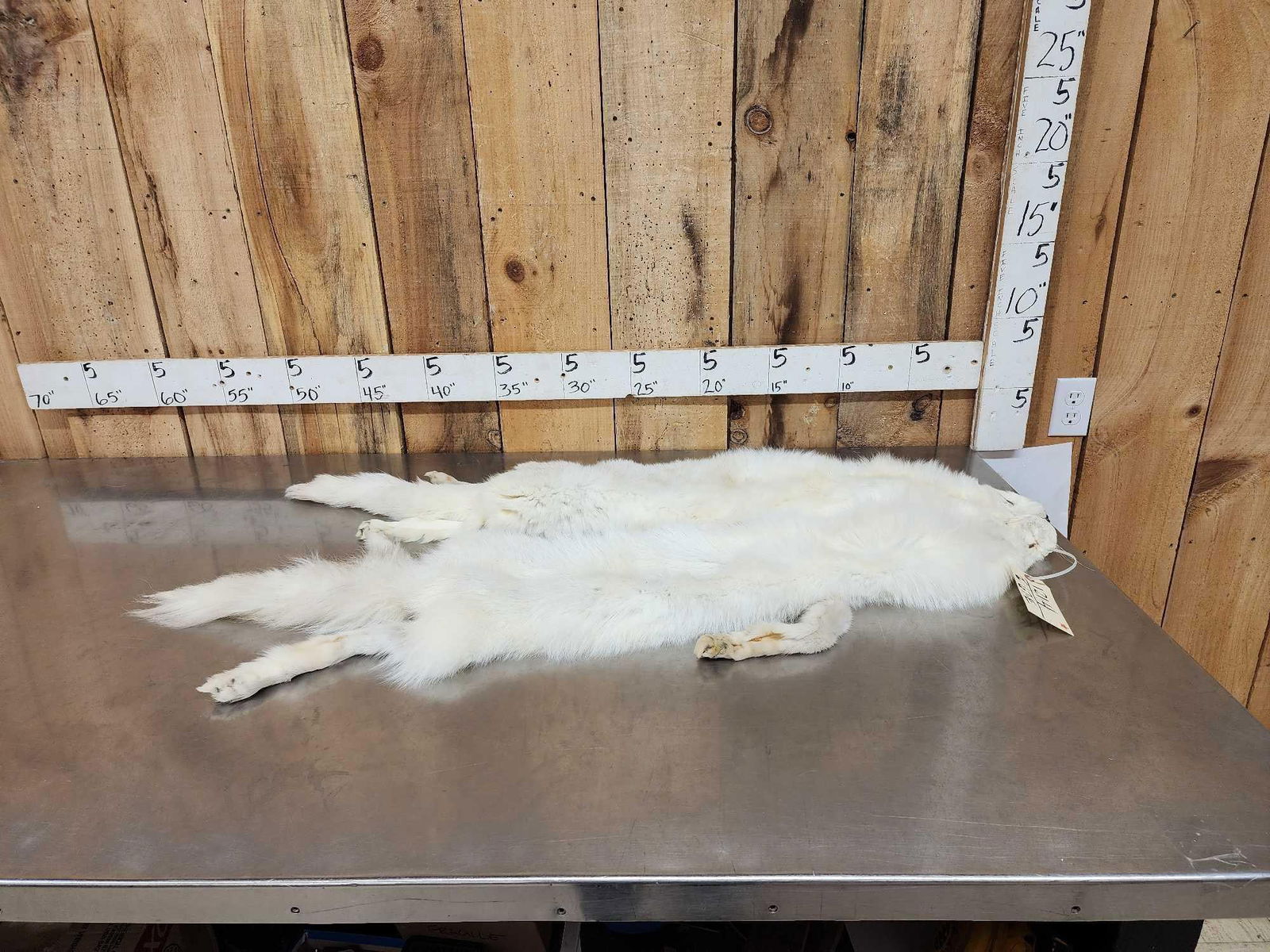 2 Arctic Cross Fox Soft Tanned Furs: 121.4 Thick prime fur pretty colors feet intact