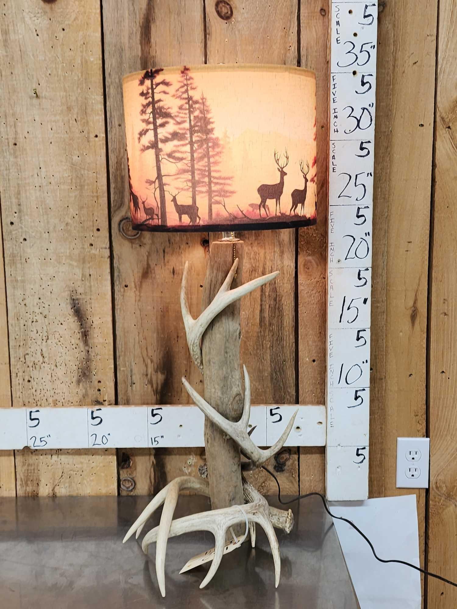 Antler & Driftwood Lamp (1 of 3)
