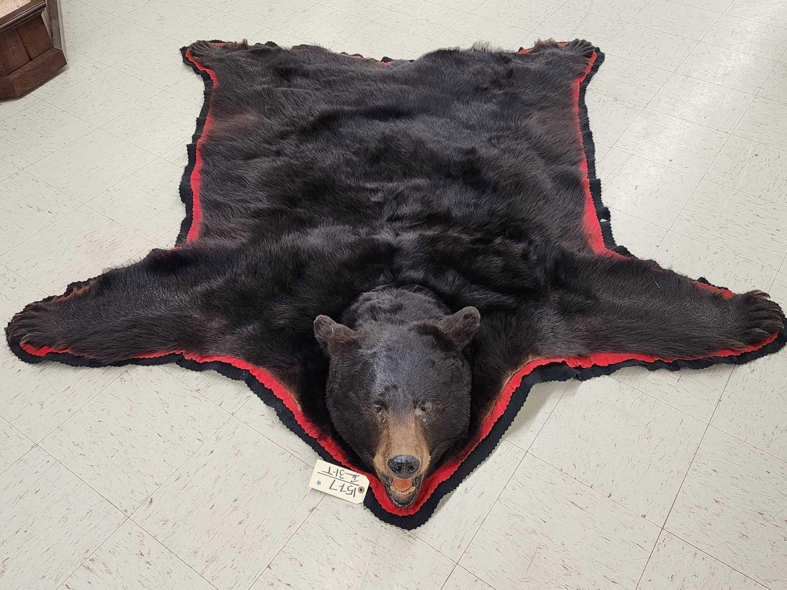 Big Black Bear Rug Taxidermy (1 of 10)