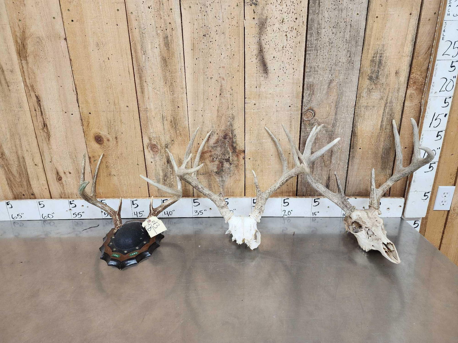 3 Sets Of Whitetail Antlers (1 of 7)