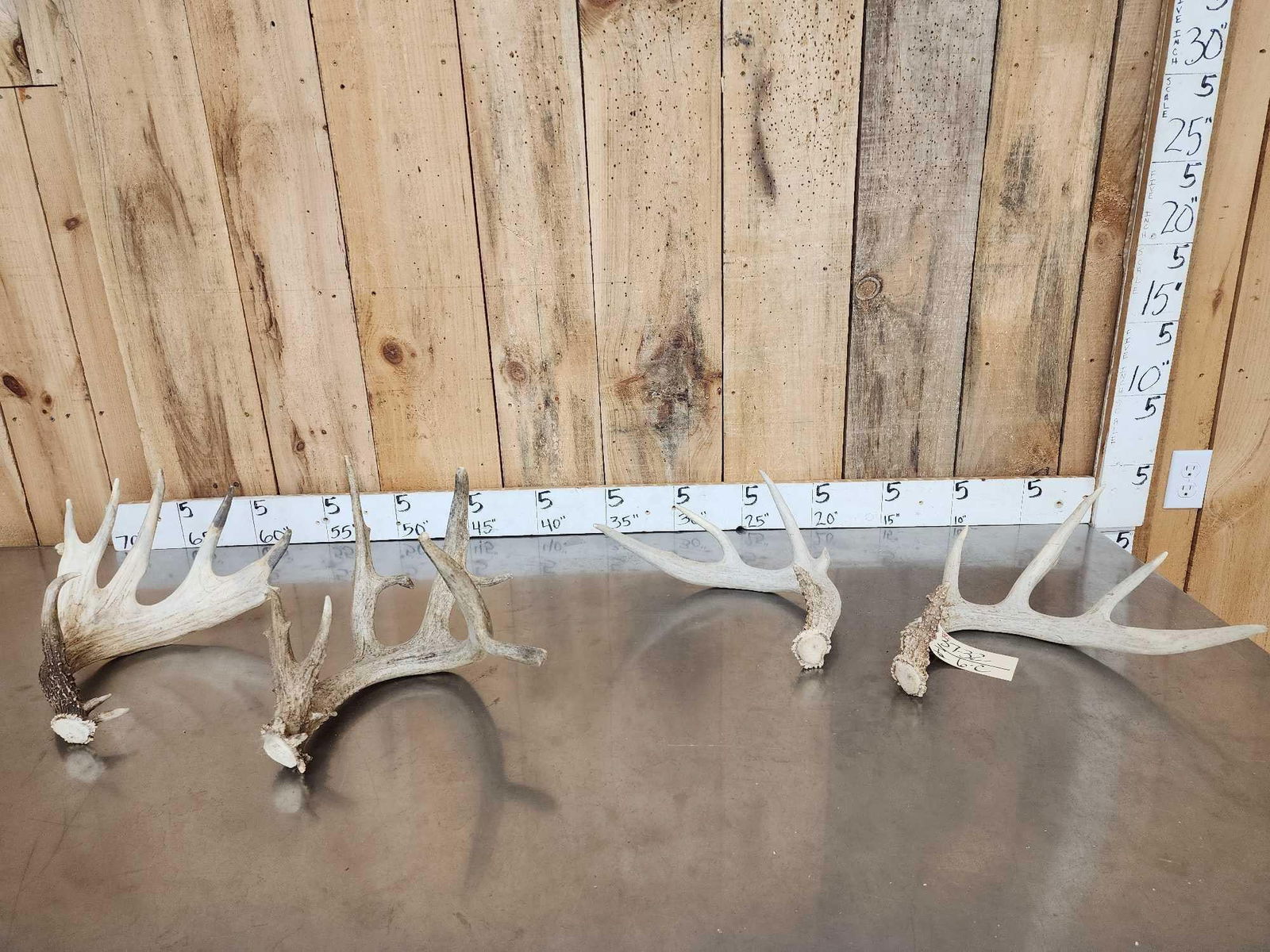 9 Lbs Of Whitetail Shed Antlers: 37.32 Includes 2 big singles one set