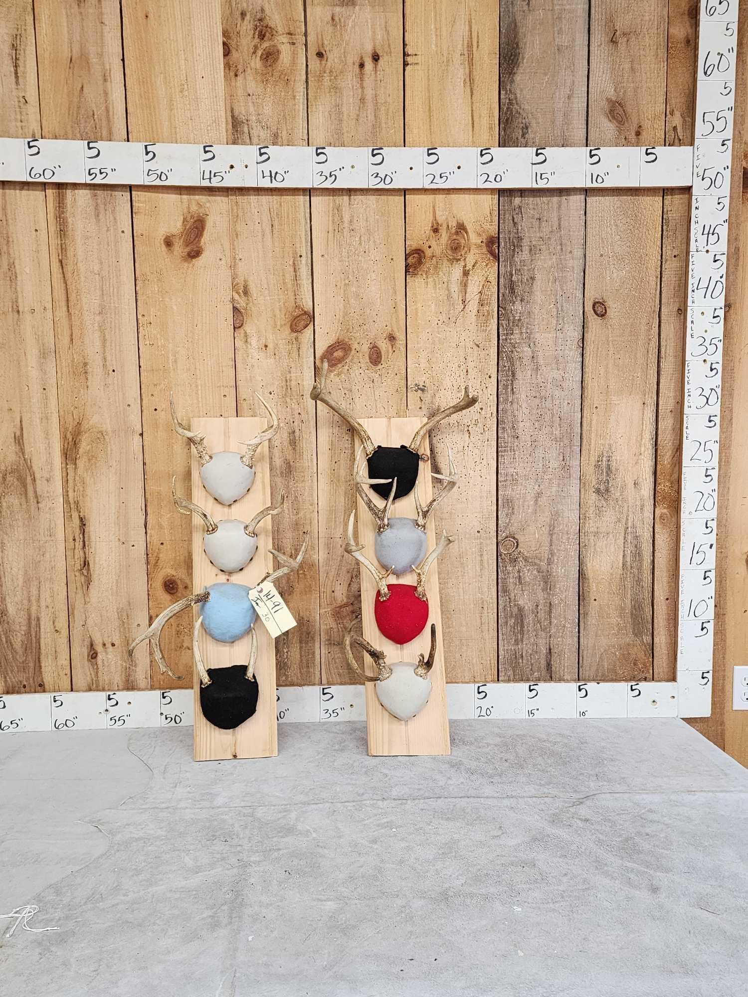 8 Sets Of Whitetail Antlers On Plaques (1 of 3)