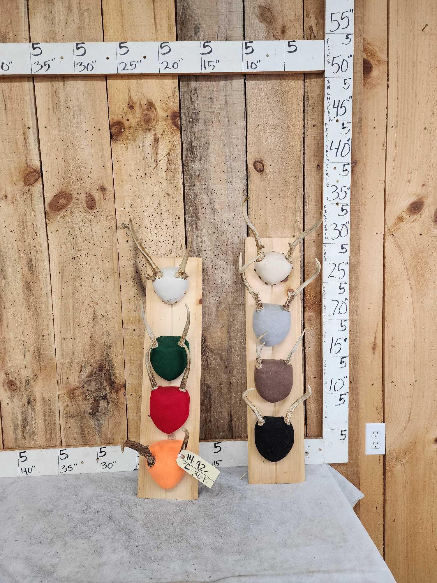 8 Sets Of Whitetail Antlers On Plaques (1 of 3)