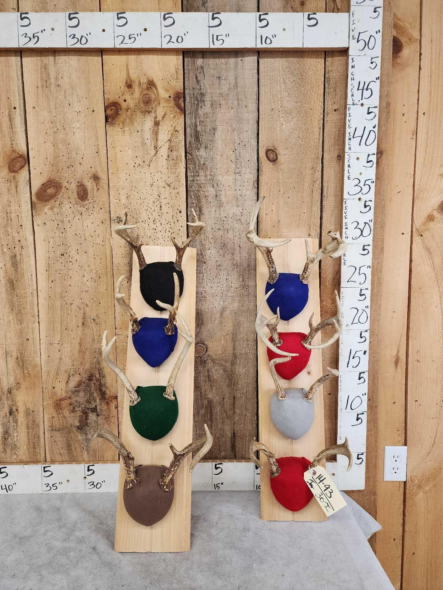 8 Sets Of Whitetail Antlers On Plaques (1 of 3)