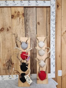 8 Sets Of Whitetail Antlers On Plaques