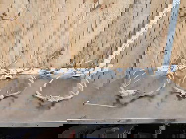 7 Sets Of Whitetail Antlers On Skull Plate