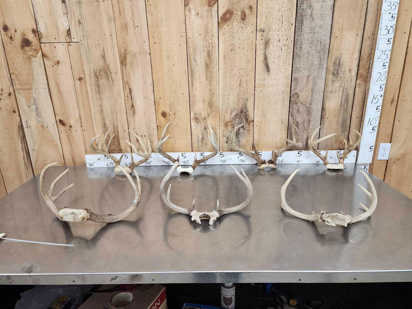 7 Sets Of Whitetail Antlers On Skull Plate: 54.2 Great for crafts decor or dog chews