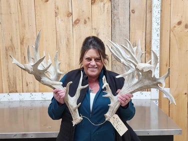 Giant 300 Class Whitetail Shed Antlers