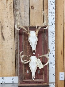 2 Whitetail Skulls On Rustic Barn Wood Plaque