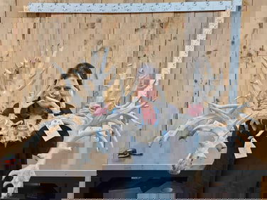 MONSTER 500 Class Whitetail Antlers On Skull Plate