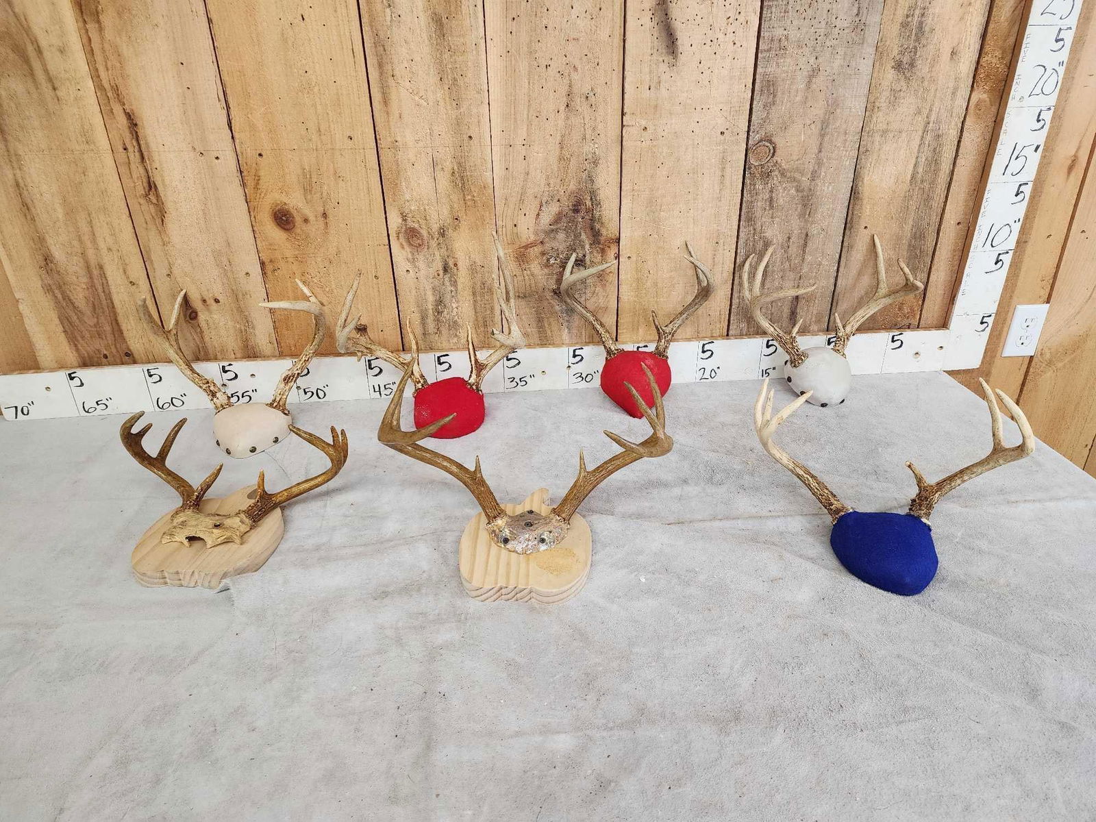 7 Sets Of Whitetail Antlers On Plaques (1 of 4)
