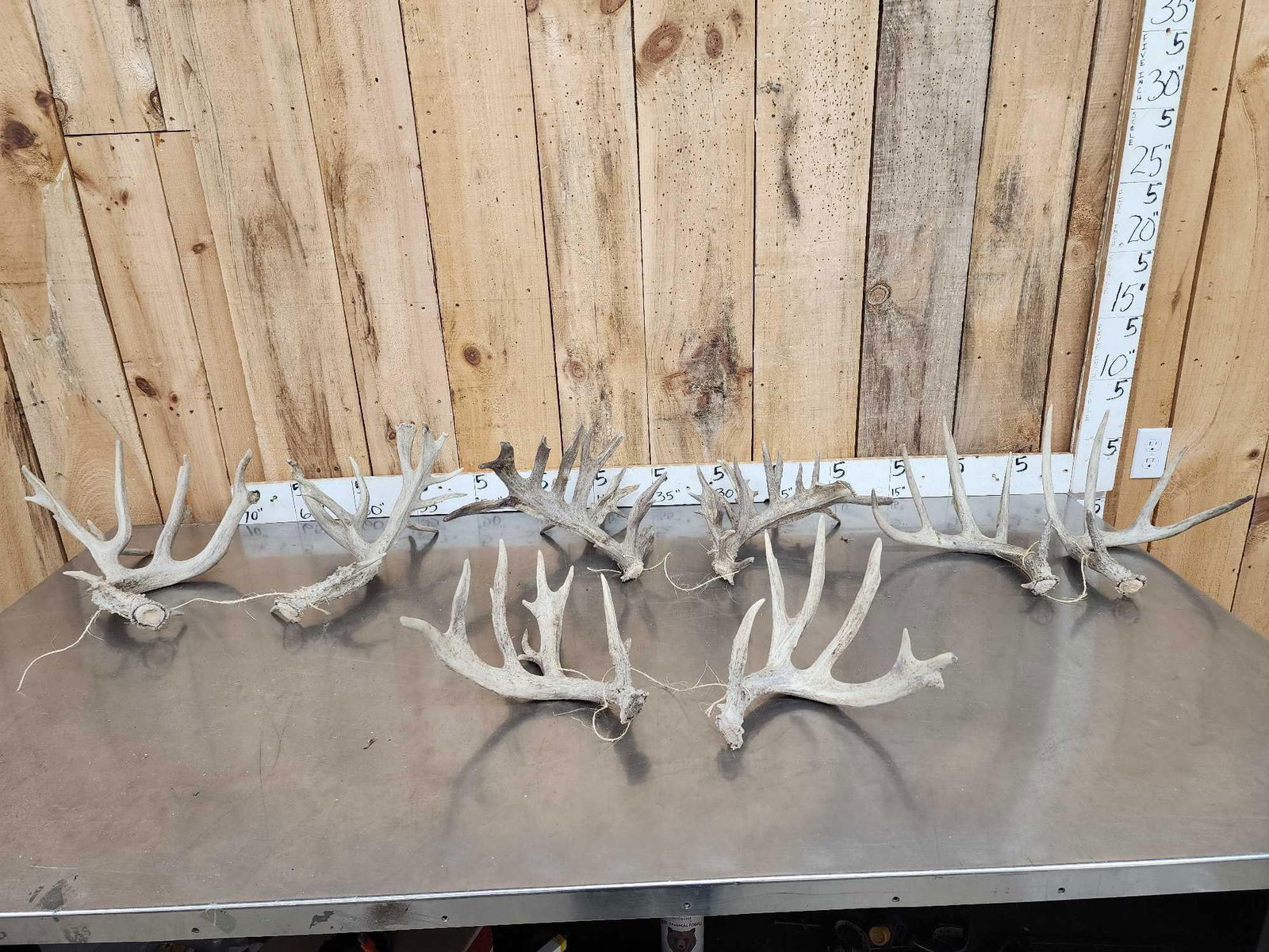 4 Sets Of Whitetail Shed Antlers: 58.16 Great for crafts decor or dog chews 15.1 Lbs