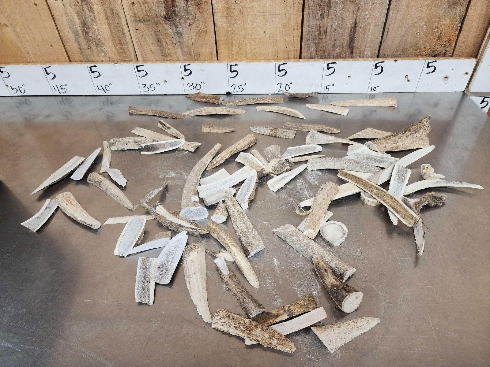 46 Lbs Of Whitetail Antler Slabs & Chunks (1 of 4)