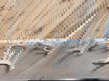 5 Giant Whitetail Shed Antlers