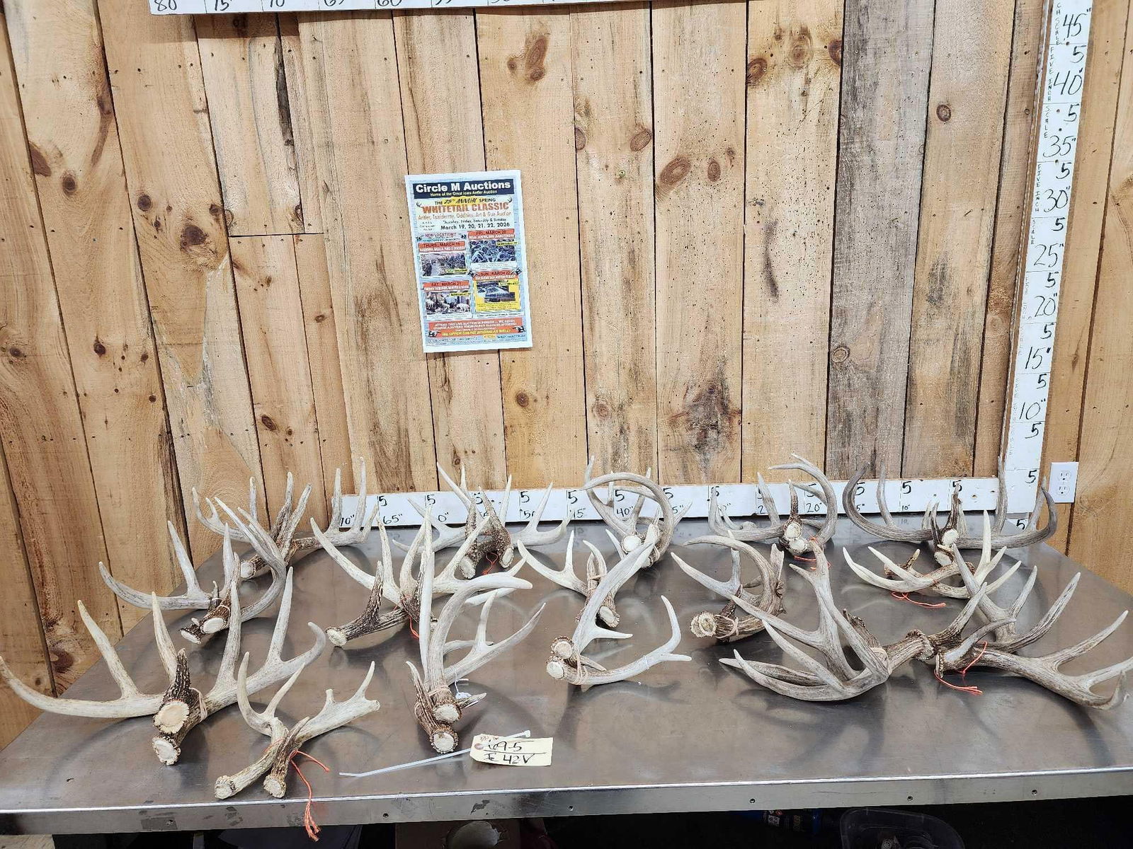16 Matched Sets Of Whitetail Shed Antlers (1 of 11)