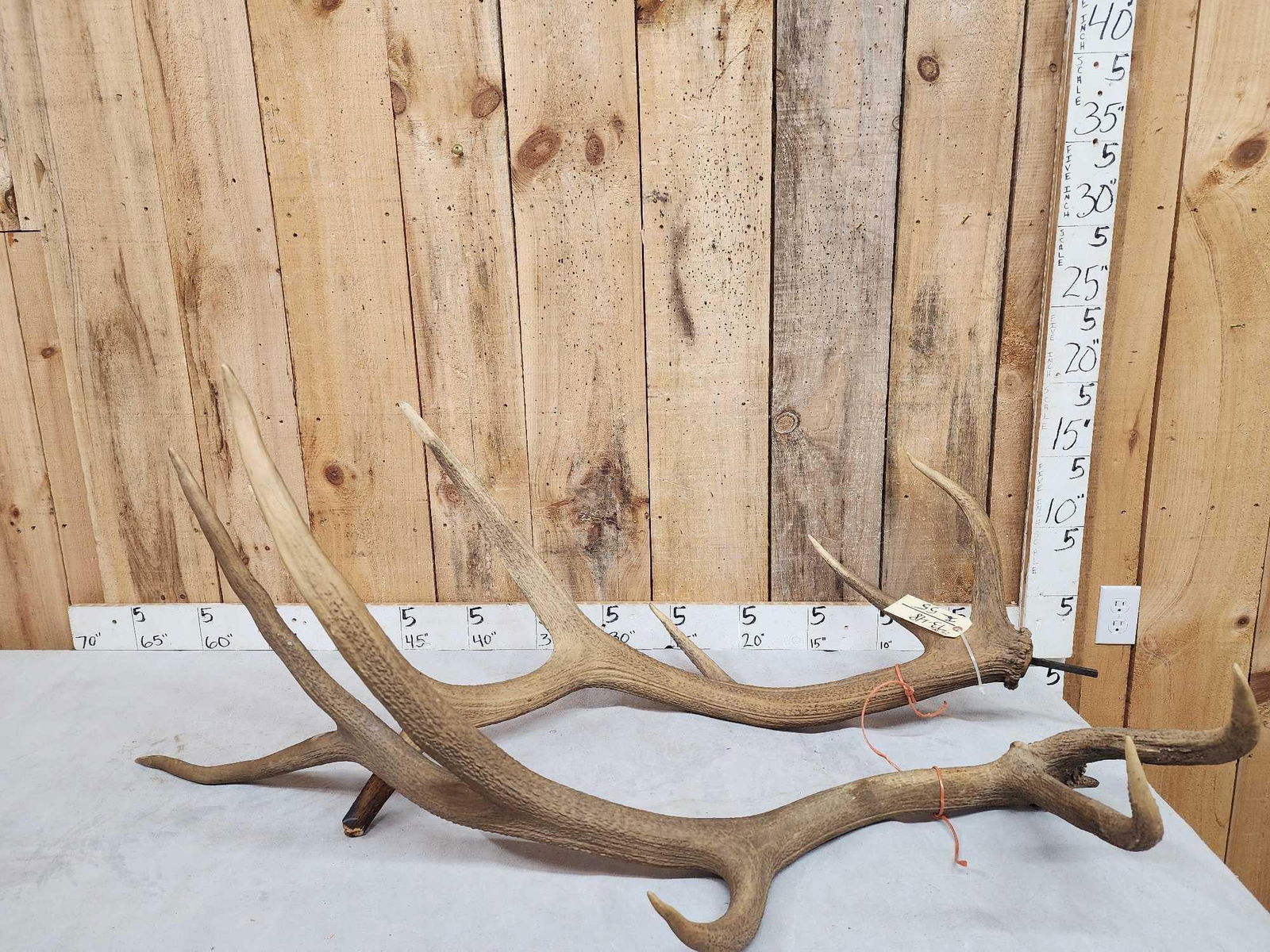 Set Of 6x6 Elk Antlers (1 of 5)