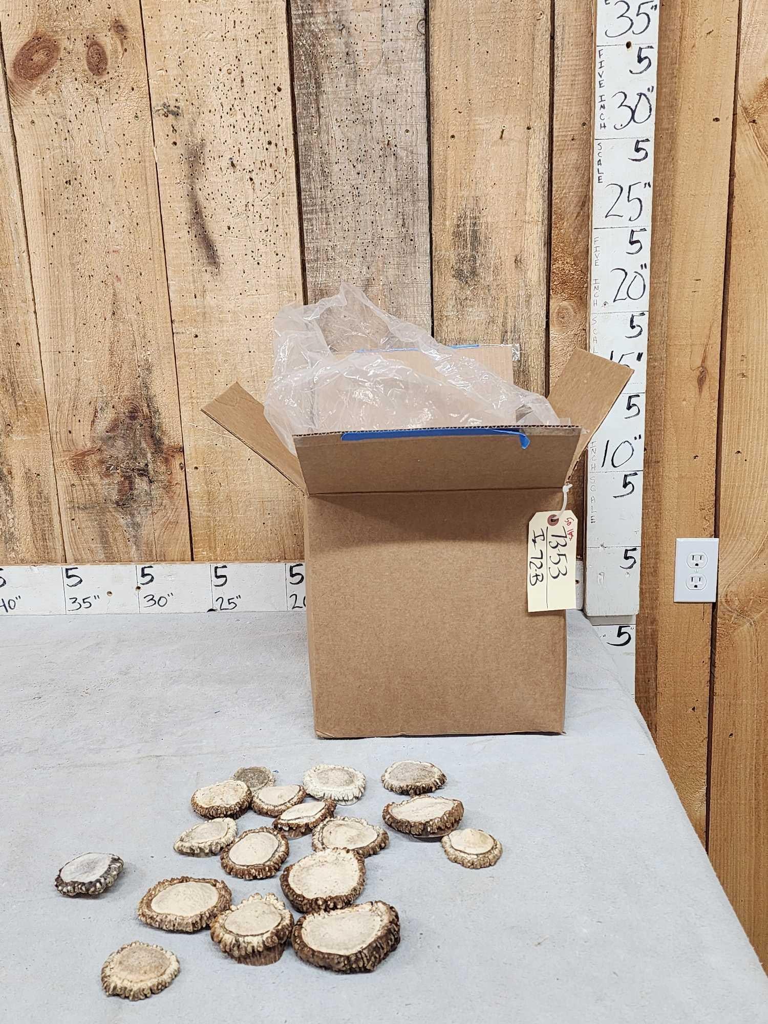 50 Lbs Of Grade A Elk Shed Burrs: 73.53 Excellent for crafts or dog chews a random piece weighs about 5 ounces so there should be around 160 pcs various sizes