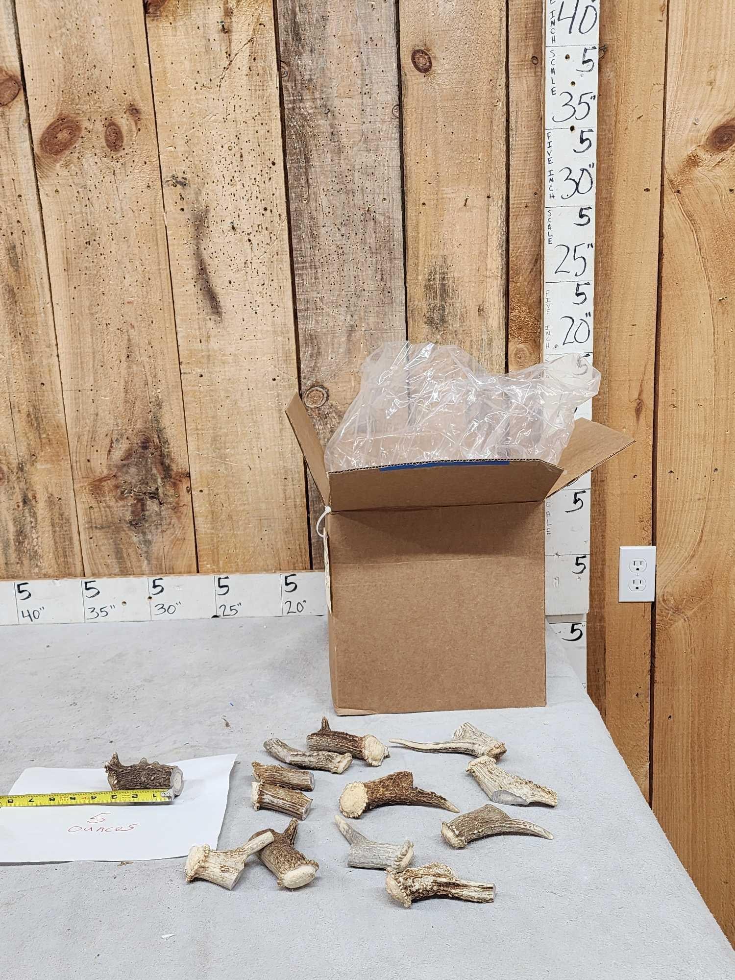 25 Lbs Of Deer Antler Chunks With Pedicles Intact (1 of 4)