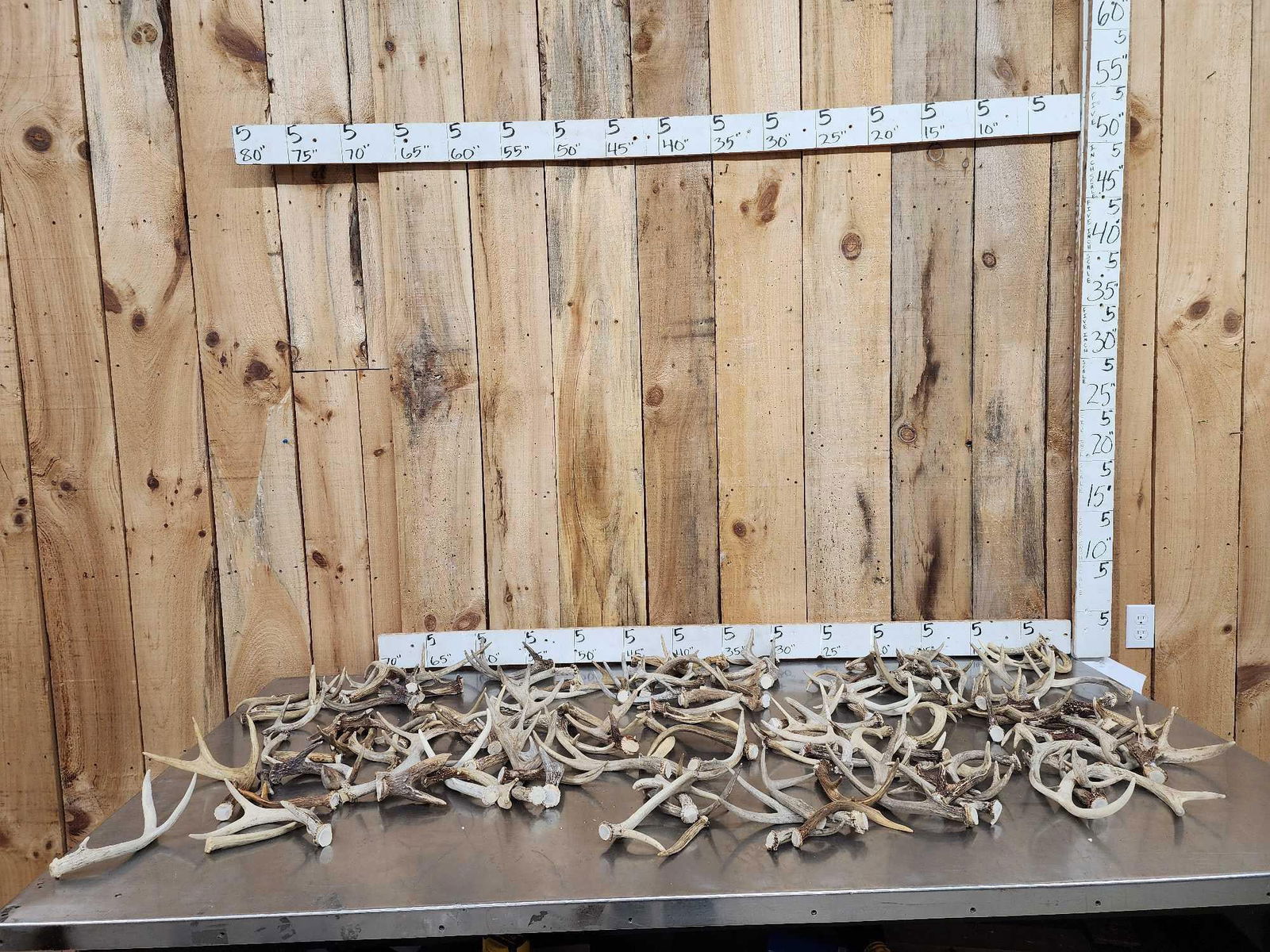 28.5 Lbs Of Deer Antlers (1 of 5)